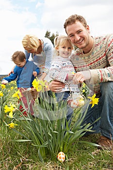 Family On Easter Egg Hunt In Daffodil Field