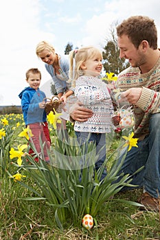 Family On Easter Egg Hunt In Daffodil Field