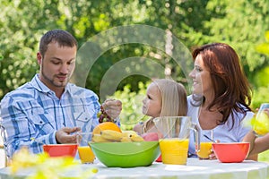 Family eating together outdoors at summer park