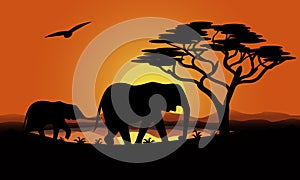 a family of elephants at sunset in Africa. Silhouettes. cartoon vector illustration