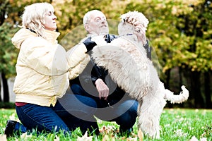 Family embrace irish soft coated wheaten terrier photo