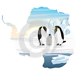 Family of emperor penguins with a chick. Care for the offspring. Realistic Antarctic landscape. Vector illustration in the form of