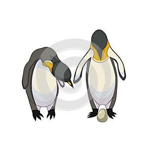 Family of Emperor penguins with an egg in Cartoon style on white isolated background, vector illustration for prints and stickers,