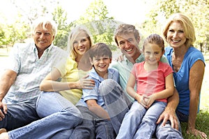 Family Enjoying Day In The Park