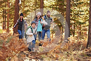 Family enjoying hike in a forest, Big Bear, California, USA