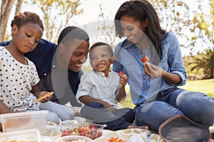 Family Enjoying Summer Picnic In Park Together