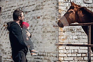 Family on a farm in summer. Father and baby son feed a horse. Outdoor fun for parents and children. Dad and little boy