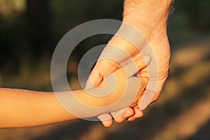 Family father and child son hands nature outdoor