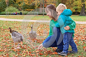 Family feeding ducks