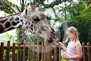 Family feeding giraffe in zoo. Children feed giraffes in tropical safari park during summer vacation. Kids watch animals. Little