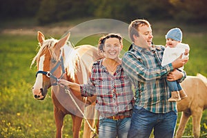 Family feeding horses in a meadow