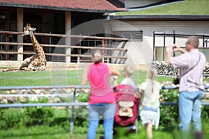 Family feeds and takes pictures giraffe in zoo