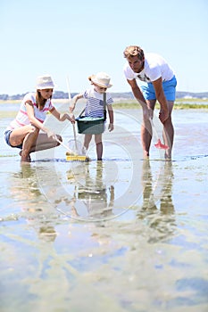 Family fishing crabs on the beach