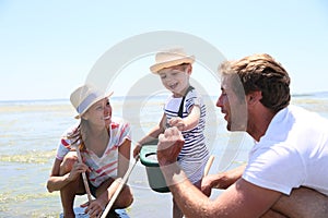 Family fishing crabs and seashells on the beach