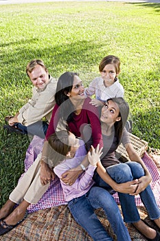 Family of five having picnic in park