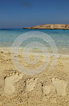 Family footprints in the sand on the beach