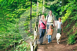 Family Of Four Hiking