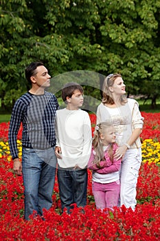 Family of four looking aside in flowering park