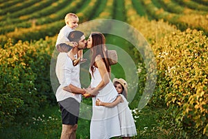 Family of four people spending free time on the field at sunny day time of summer