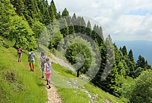 Family of four walks on the mountains