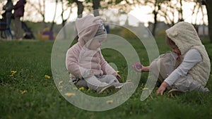 Family, friendship, childhood concepts - Little toddler sister gives purple flower baby infant kid girl in spring park