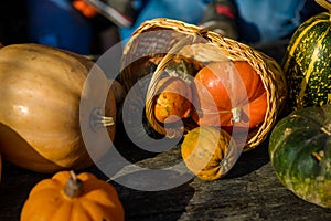 family fun activity - carved pumpkins into jack-o-lanterns for halloween close up