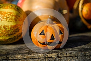 family fun activity - carved pumpkins into jack-o-lanterns for halloween close up