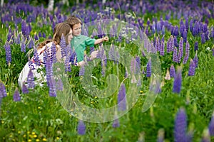 Family fun at sunny day