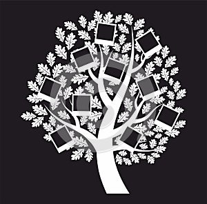 Family genealogical tree on black background, vector