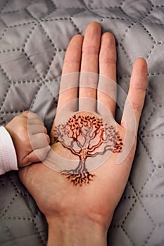 Family generations - adult and child hands and tree of life