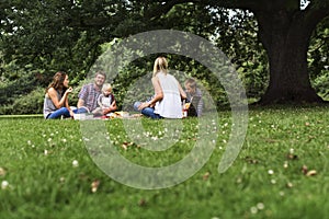 Family Generations Picnic Togetherness Relaxation Concept