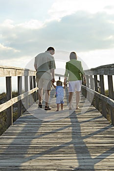 Familia común sobre el Playa 