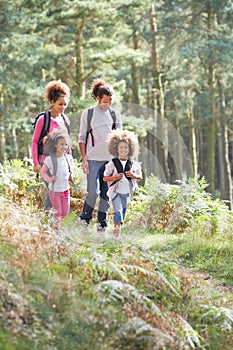 Family Group Hiking In Woods Together