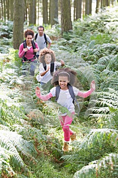 Family Group Hiking In Woods Together