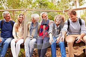 Family group sitting on a small bridge in a forest photo