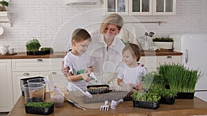 A family grows microgreens at home, a mother and children water the seeds.