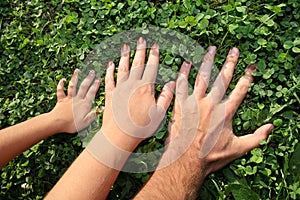 Family hands 2