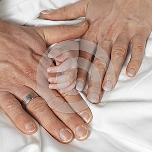 Family hands