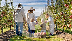 Family Harvesting Apples on Sunny Day