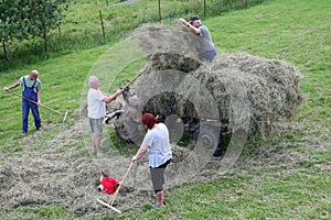 Retro scene family is harvesting hay before the rain is coming, Bohemia, Czech republic