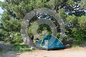 A family has a rest in nature with a tent in the forest. Crimea