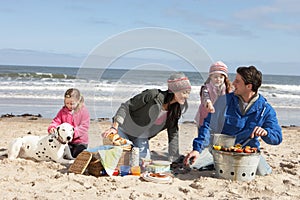 Family Having Barbeque On Winter Beach