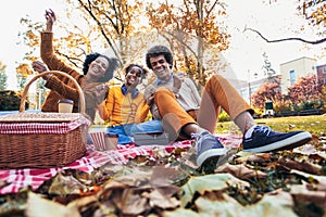 Family having fun while picnicking in the park