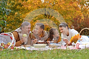 Family having a picnic