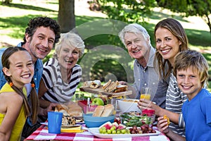 Family having a picnic