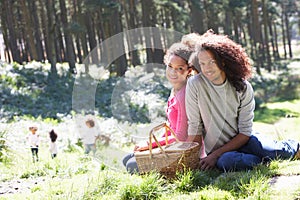 Family Having Picnic In Countryside