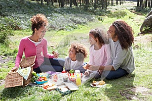 Family Having Picnic In Countryside
