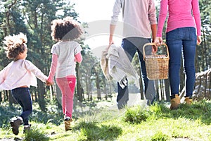 Family Having Picnic In Countryside