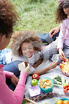 Family Having Picnic In Countryside