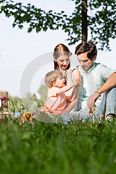 Family having picnic at lake sitting on meadow